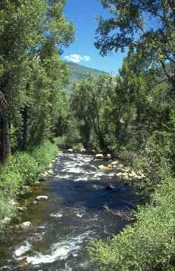 paysage bucolique